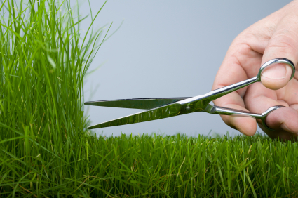 5 Tips for Preventing Mushroom Invasions in Your Yard