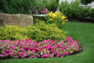 How Much Mulch Need