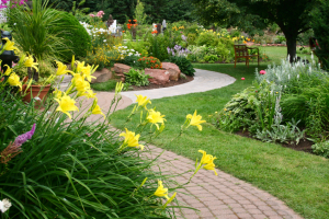 Seasonal Flowers in Fort Worth Summer