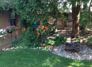 Backyard Patio Ideas