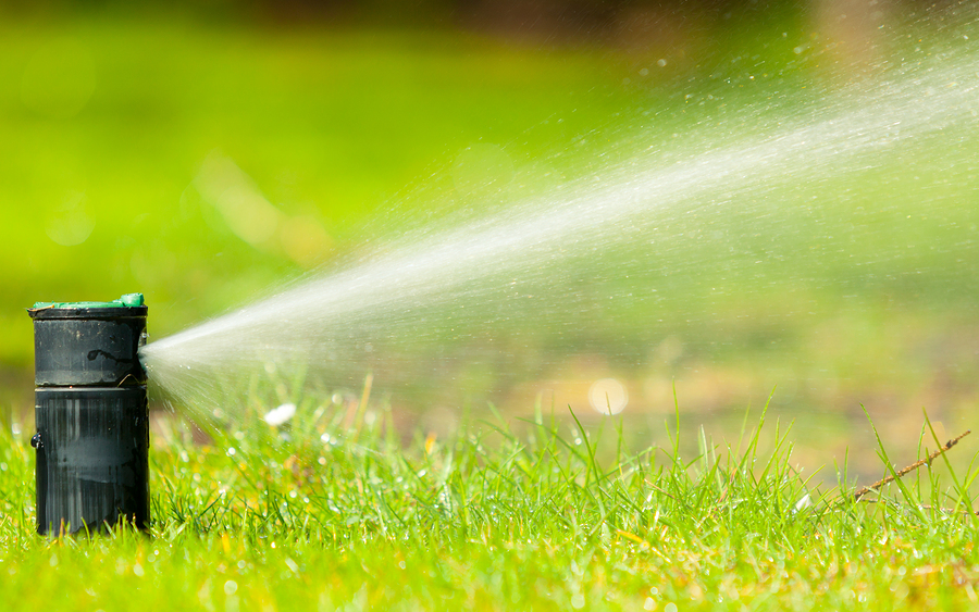 How to Keep Your Grass Green in the Fort Worth Heat