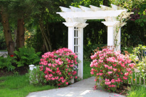 Landscape Maintenance Companies