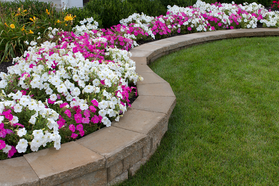 3 Garden Design Ideas to Maintain a Healthy Outdoor Environment