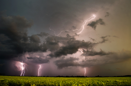 Plant Protection During Stormy Weather