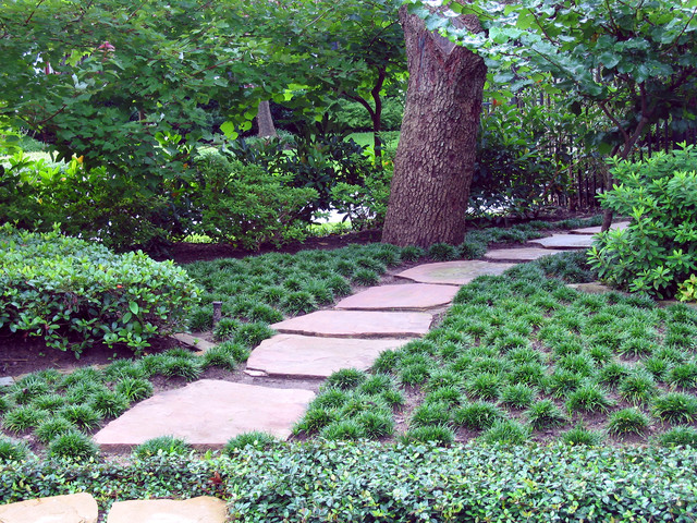 Designing a Low Maintenance Lawn