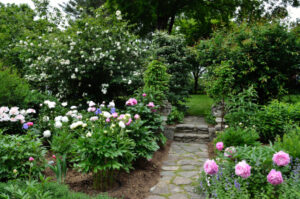 Great yard ideas
