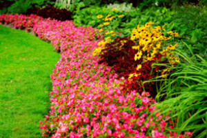 Spruce Up Your Lawn with Seasonal Color Installation