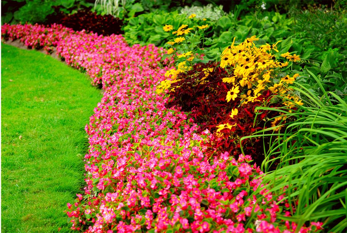 Garden Maintenance in Spring – Get a Colorful Garden