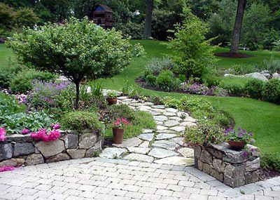 What to Look For When Hiring a Professional Landscaping Company