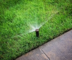 Now’s the Time for an Irrigation System