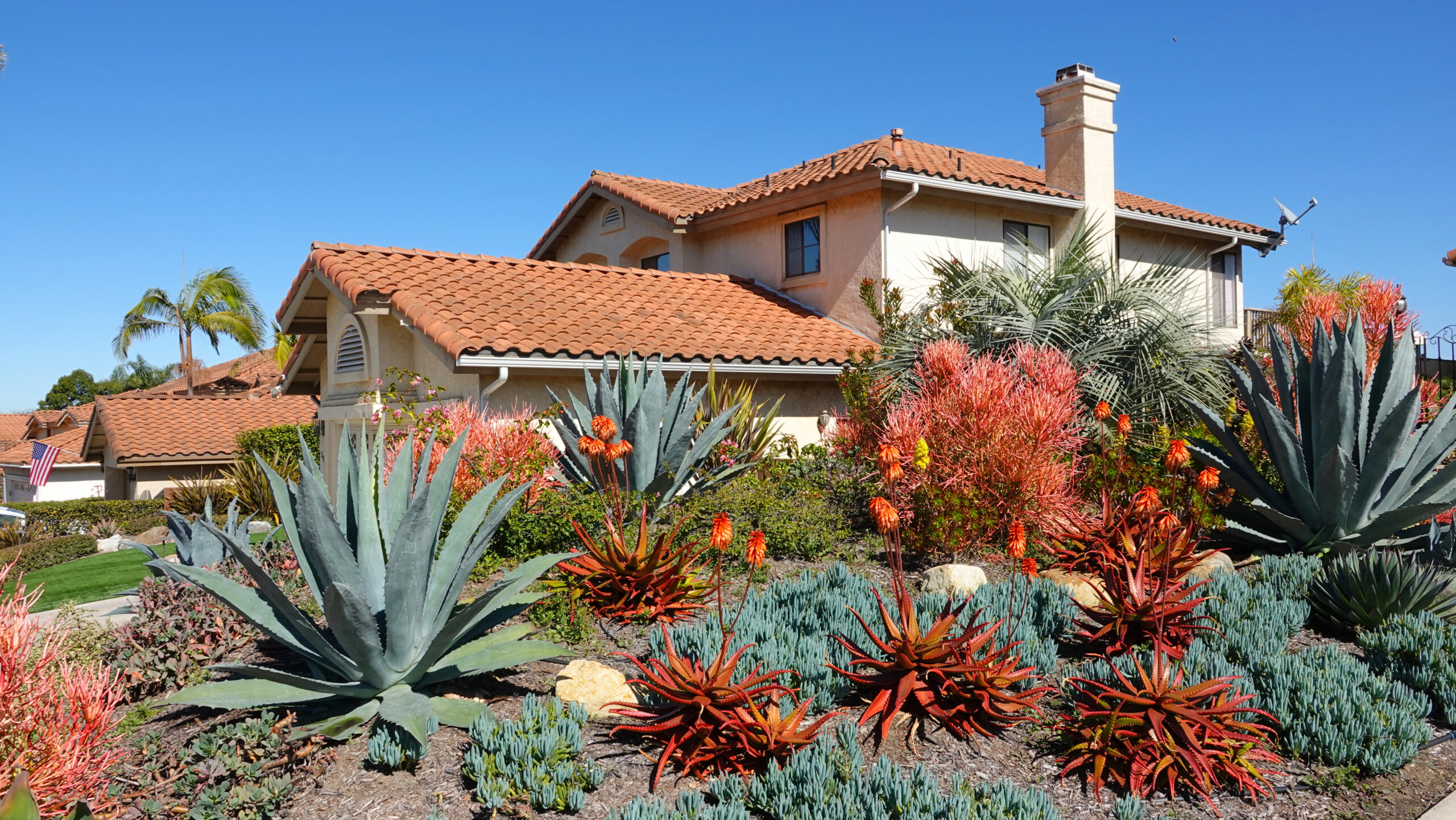 How to Create a Drought-Tolerant Landscape in Fort Worth