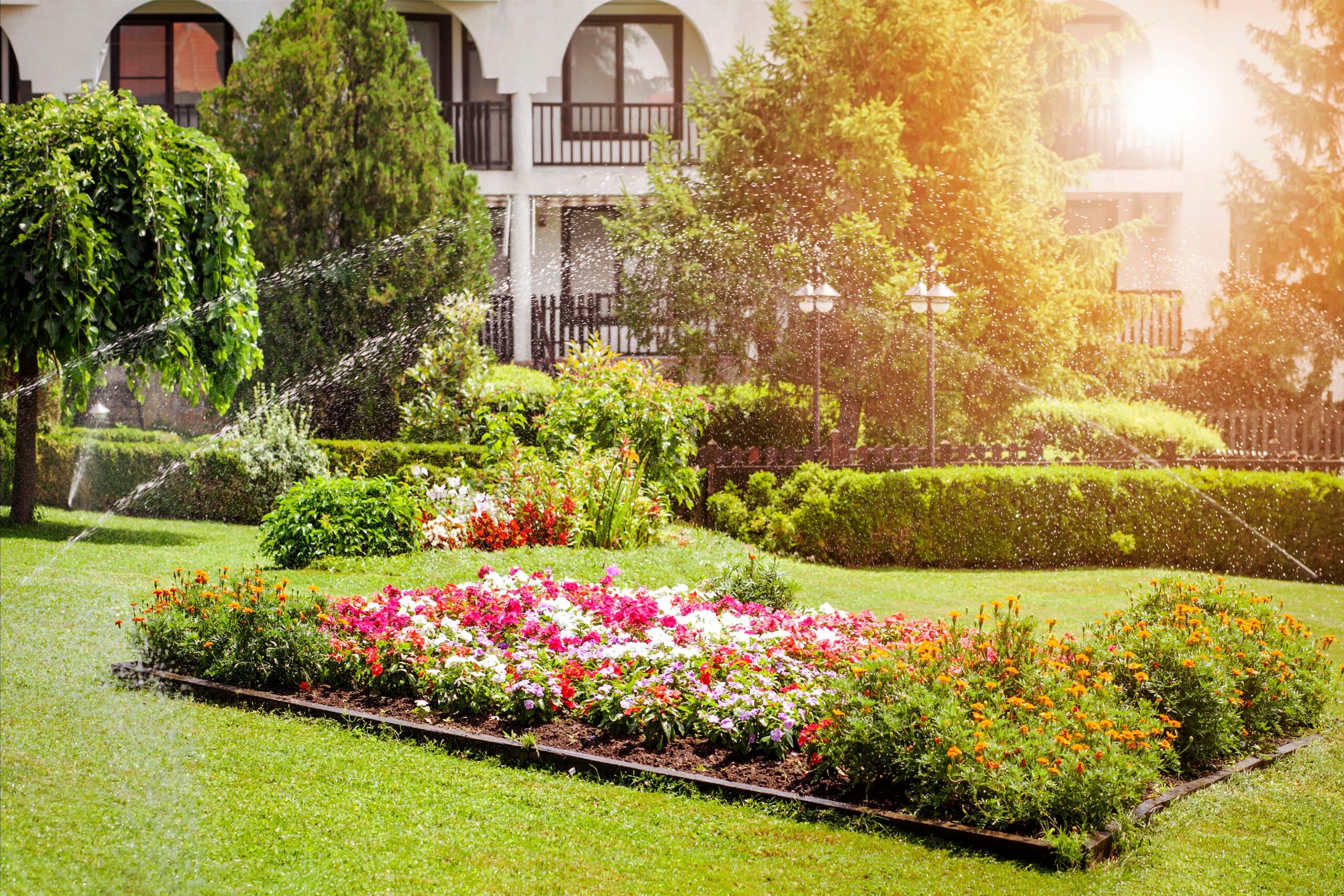 Garden,Design,With,Flower,Bed,,Hedge,,Pine,Tree,,Irrigate,System