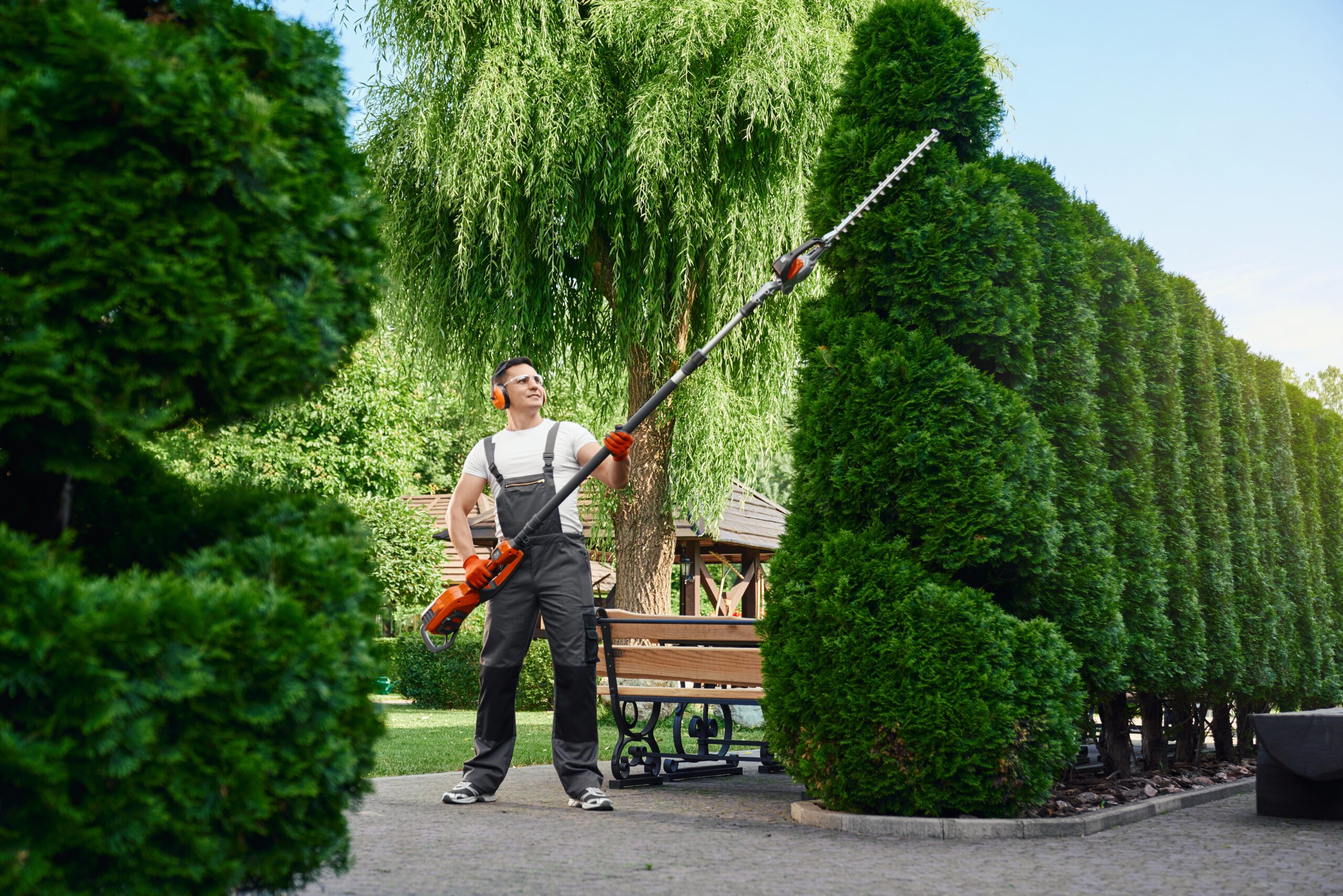 Fort Worth’s Guide to Installing Low-Maintenance Landscaping Features